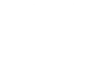 Logotipo de SSX